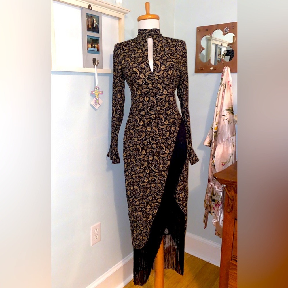 NWT RARE Limited Edition Zara Paisley Fringe Long Sleeve Dress